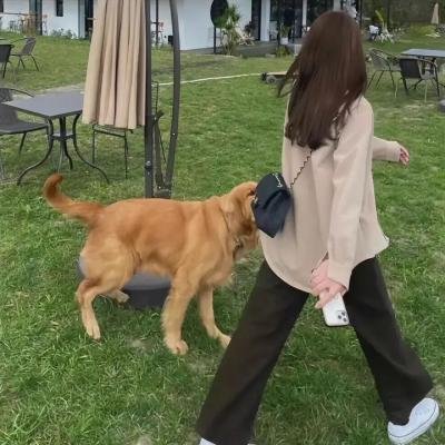 地球外少年少女